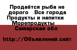 Продаётся рыба не дорого - Все города Продукты и напитки » Морепродукты   . Самарская обл.